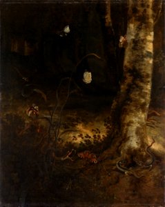 Bosgrond met een slang, hagedissen, vlinders en andere insecten Rijksmuseum SK-A-975