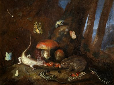 Otto Marseus van Schrieck - A forest floor with lizards, toads and butterflies. Free illustration for personal and commercial use.