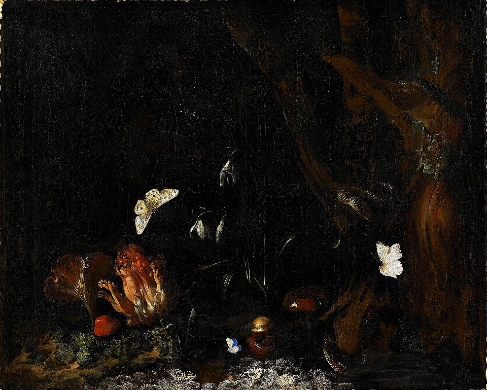 Otto Marseus van Schrieck - Forest still-life with snakes