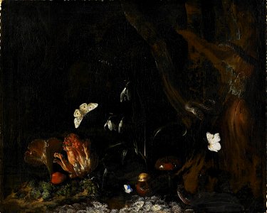 Otto Marseus van Schrieck - Forest still-life with snakes. Free illustration for personal and commercial use.