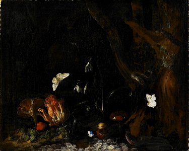 Otto Marseus van Schrieck - Forest still-life with snakes