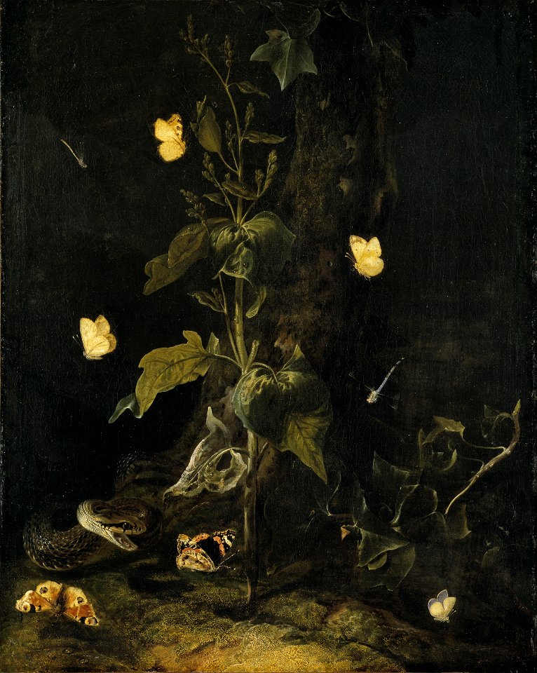 Otto Marseus van Schrieck - Serpent and Butterflies in the Woods
