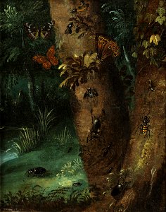 Otto Marseus van Schrieck - Tree trunk with Butterflies. Free illustration for personal and commercial use.