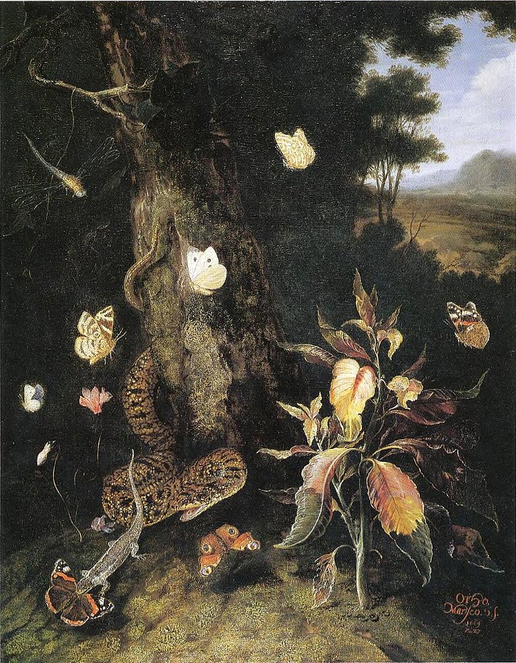 Otto Marseus van Schrieck - Klaroen omringd door een slang, hagedis en vlinders (1669)
