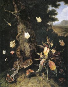 Otto Marseus van Schrieck - Klaroen omringd door een slang, hagedis en vlinders (1669)