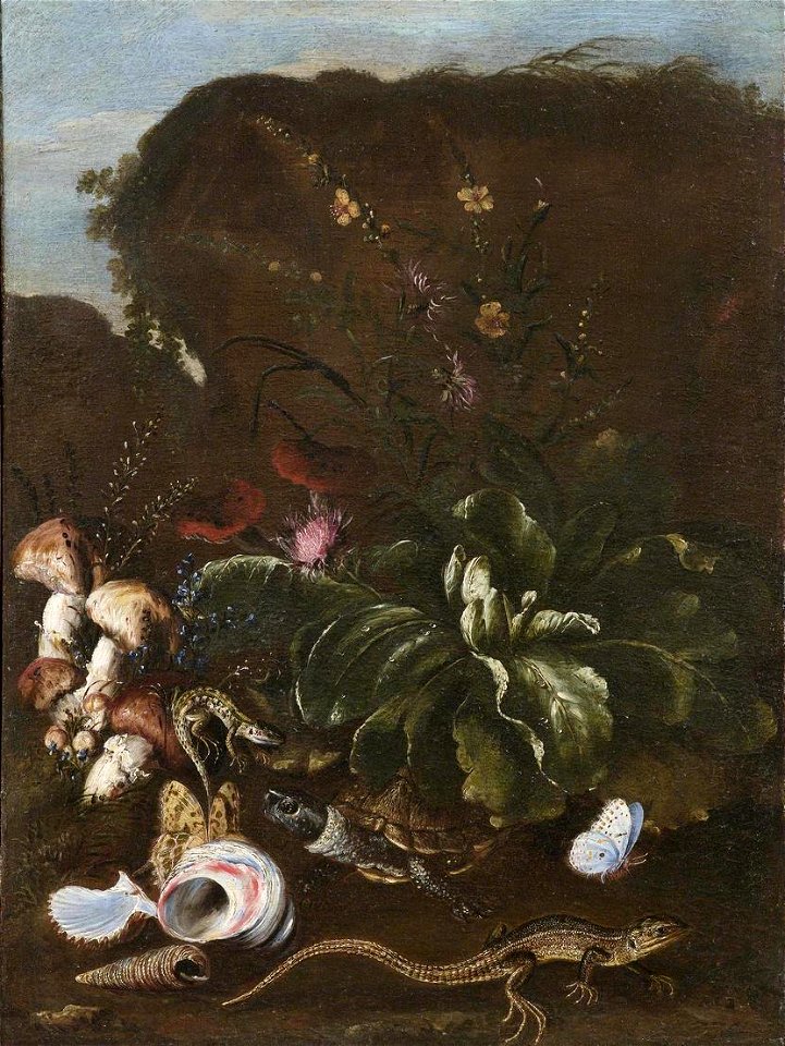 Otto Marseus van Schrieck - A sous-bois still-life