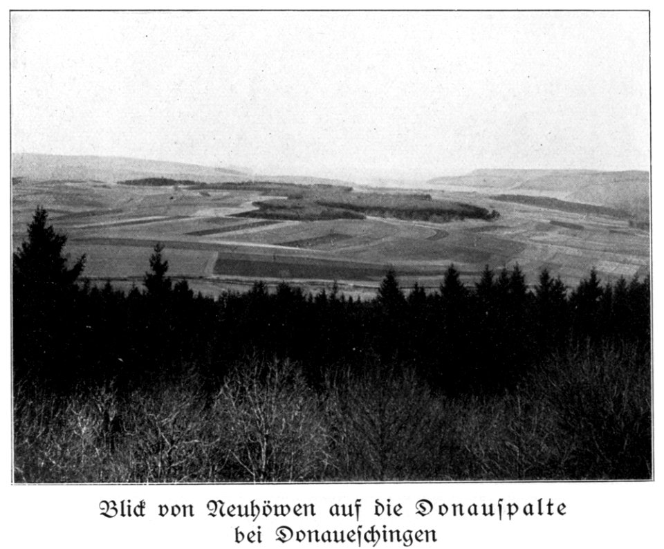 Schwabenalb S094B, Neuhöwen Richtung Donauspalte Donaueschingen, von der Trappen