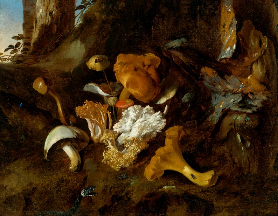 Otto Marseus van Schrieck - Bosstilleven met champignons, vlinders en een slang - I