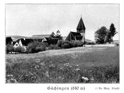 Schwabenalb S110D, Gächingen, Dr. Motz