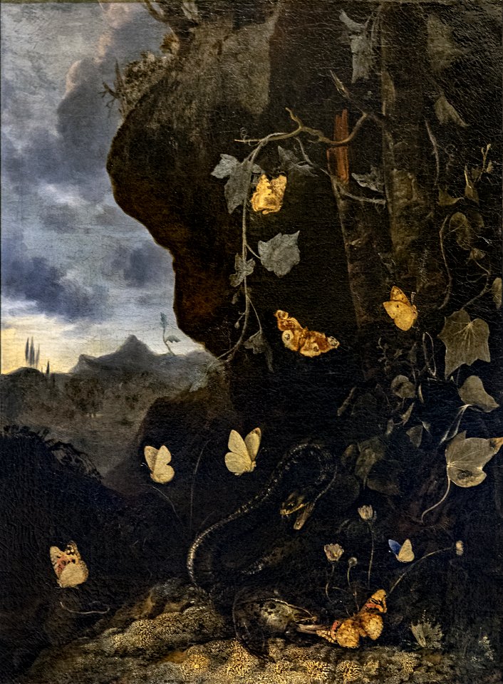 Augustins - Serpents, crapauds et papillons - Otto Marseus van Schrieck Inv.2004 1 68 49x61