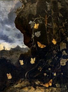 Augustins - Serpents, crapauds et papillons - Otto Marseus van Schrieck Inv.2004 1 68 49x61