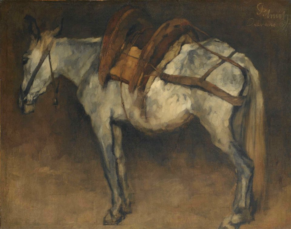 Carl Schuch - Maulesel in Olevano (1875)