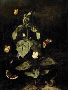 Otto Marseus van Schrieck - A forest floor still life with a Grand Surprise and other animals