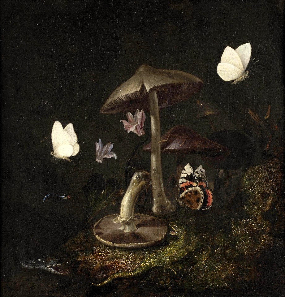 Otto Marseus van Schrieck - A 'sotto bosco' with mushrooms, butterflies, a dragonfly, a snake and a lizard