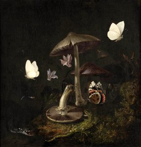 Otto Marseus van Schrieck - A 'sotto bosco' with mushrooms, butterflies, a dragonfly, a snake and a lizard