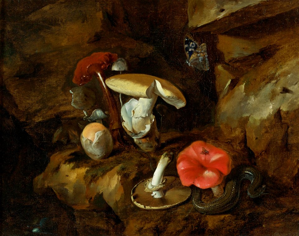 Otto Marseus van Schrieck - Bosstilleven met champignons, vlinders en een slang - II