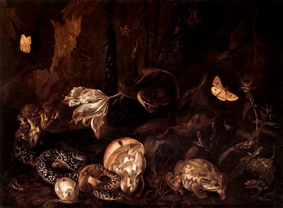 Otto Marseus van Schrieck - Stilleben mit Insekten und Amphibien, 1662