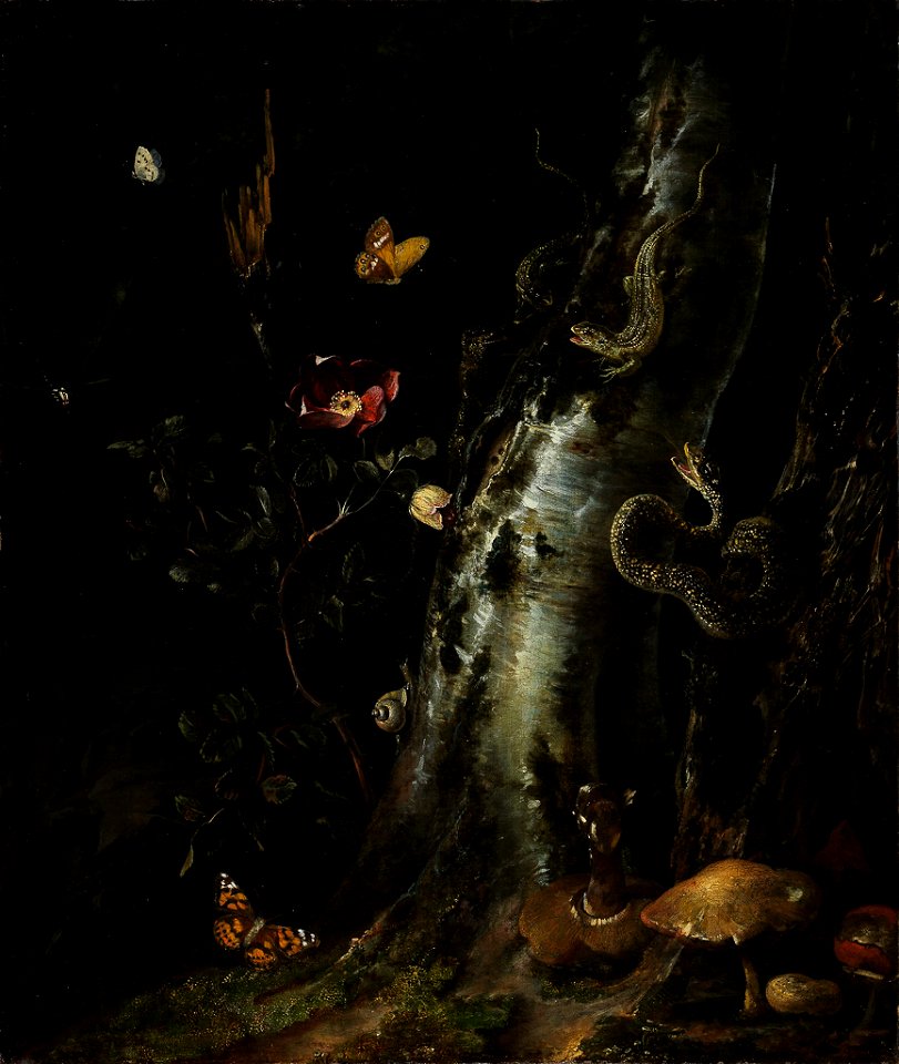 Otto Marseus van Schrieck (attrib.) - Silver birch trunk