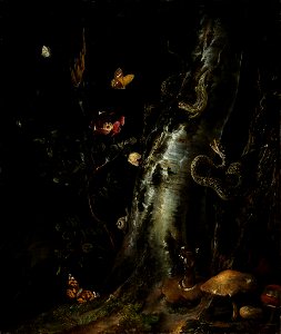 Otto Marseus van Schrieck (attrib.) - Silver birch trunk