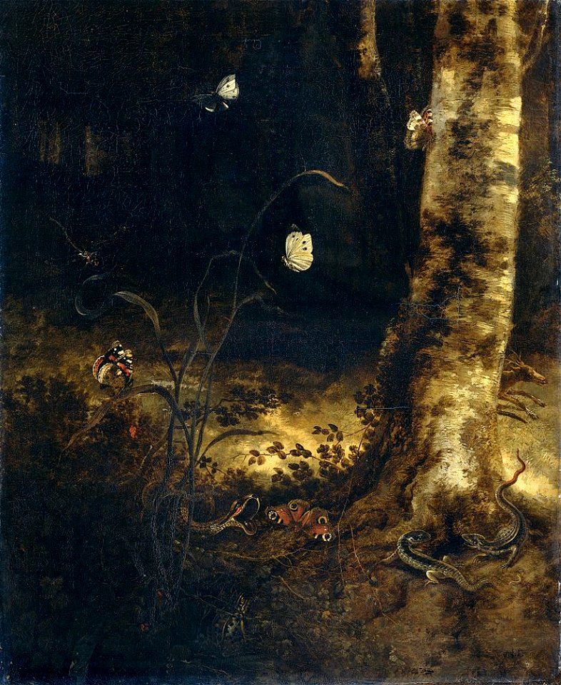 Otto Marseus van Schrieck - Bosgrond met een slang, hagedissen, vlinders en andere insecten, ca 1650-1678