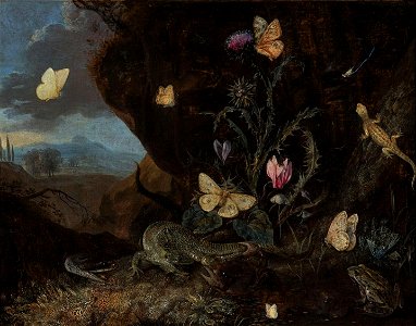 Otto Marseus van Schrieck - Landscape with Insects, Cyclamen and Thistle (Museum Boijmans Van Beuningen). Free illustration for personal and commercial use.
