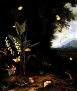 Otto Marseus van Schrieck - A forest floor still-life with flowers and animals
