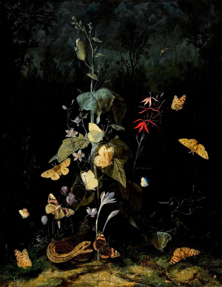 Otto Marseus van Schrieck - Still life of wild flowers