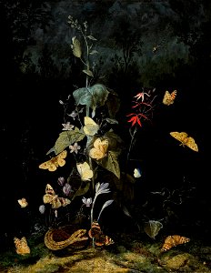 Otto Marseus van Schrieck - Still life of wild flowers. Free illustration for personal and commercial use.