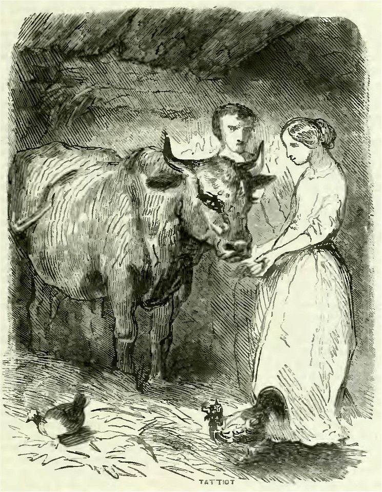 Sand - Œuvres illustrées de George Sand, vol 1, 1852 (page 215 crop)