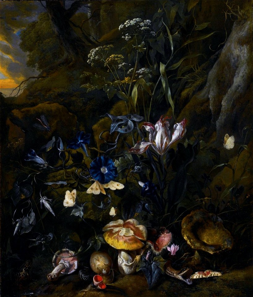 Forest floor still life with flowers, mushrooms, butterflies, snake, frog and dragonfly by Snuffelaer