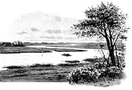 Schwabstedt Treene 01