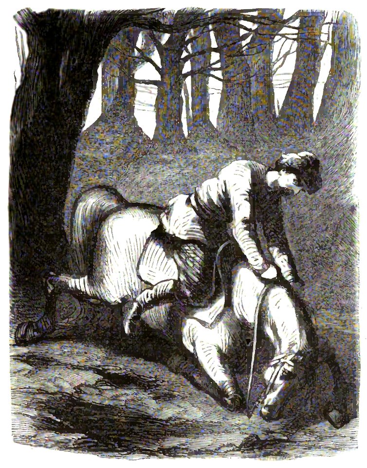 Sand - Œuvres illustrées de George Sand, vol 8, 1855 (page 117 crop)