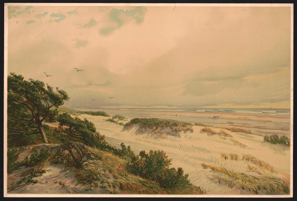 Sand hills of New Jersey LCCN2017650241