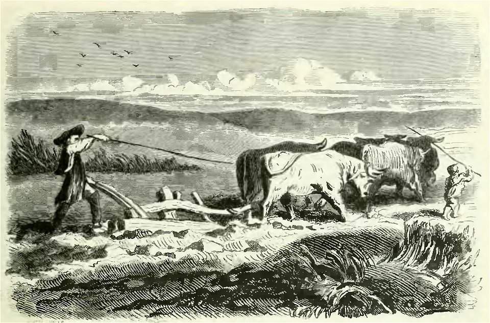 Sand - Œuvres illustrées de George Sand, vol 1, 1852 (page 9 crop)