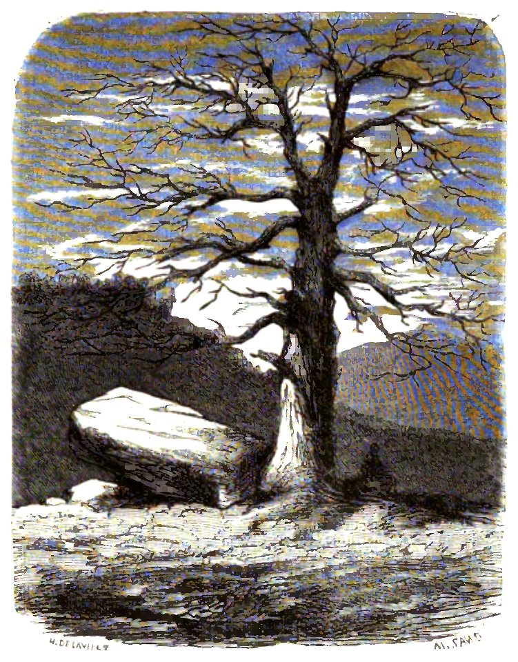 Sand - Œuvres illustrées de George Sand, vol 8, 1855 (page 69 crop)