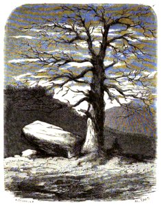 Sand - Œuvres illustrées de George Sand, vol 8, 1855 (page 69 crop)