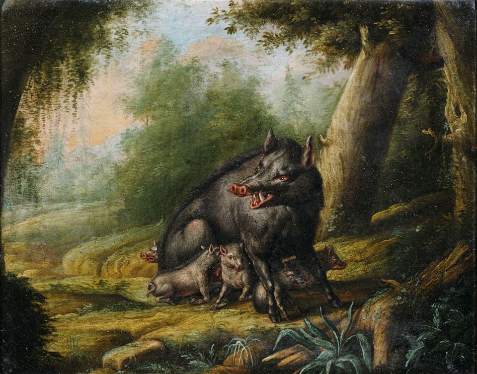 Sandner Wildsau mit Jungen