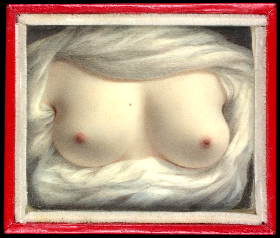 Sarah Goodridge Beauty Revealed The Metropolitan Museum of Art