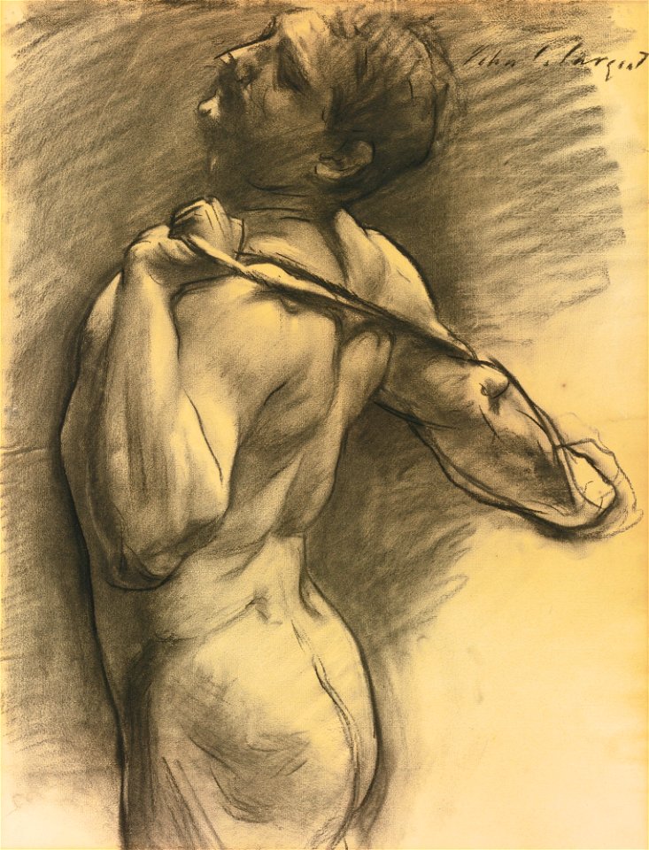 Sargent Nu