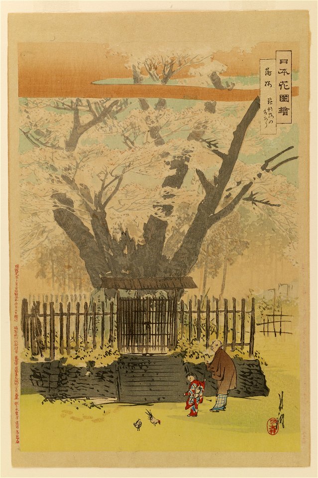 Sasaki Toyokichi - Nihon hana zue - Walters 95219