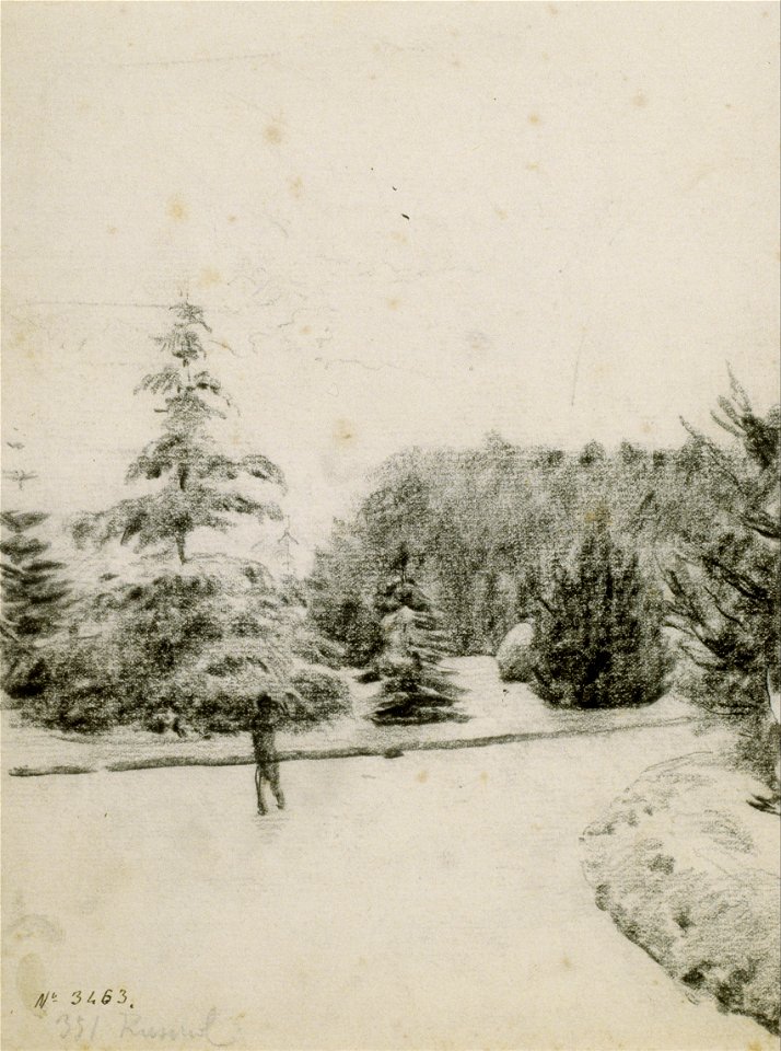 Santiago Rusiñol - Study of a Garden - Google Art Project