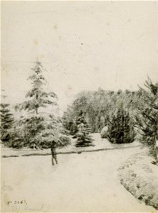 Santiago Rusiñol - Study of a Garden - Google Art Project