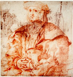 Sanzio - Portrait of a Young Man