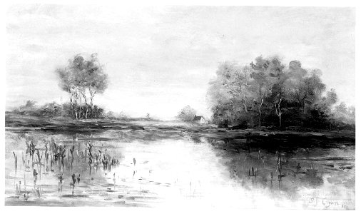 Sarah J. Tryon - Summer Landscape - 28.871 - Museum of Fine Arts