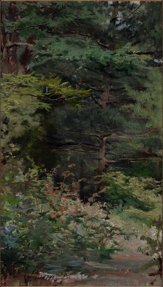 Sarah Paxton Ball Dodson - In Ashdown Forest, Sussex - 23.603 - Museum of Fine Arts