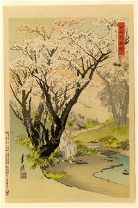 Sasaki Toyokichi - Nihon hana zue - Walters 95198
