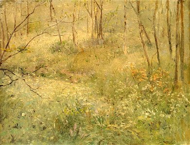 Sarah Paxton Ball Dodson - Wild Parsley - 1923.8.2 - Smithsonian American Art Museum