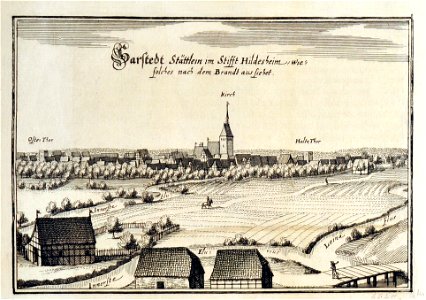 Sarstedt-1645-Merian