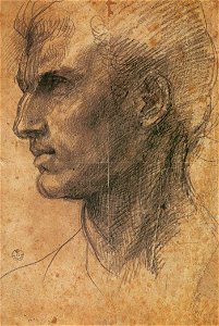 Andrea del Sarto - Head of a Man in Profile Facing Left - WGA00398. Free illustration for personal and commercial use.
