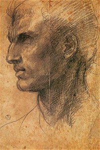 Andrea del Sarto - Head of a Man in Profile Facing Left - WGA00398